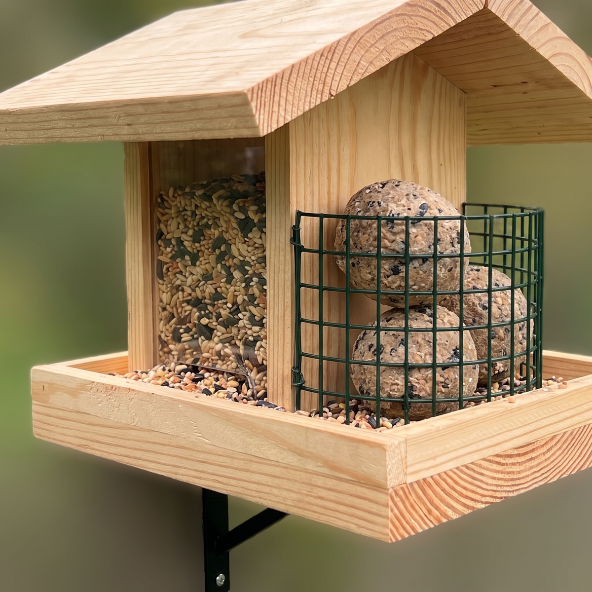 Close-up: the clear glass side showing seed and the green suet cage