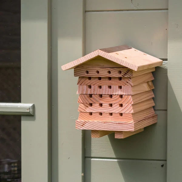 BeeTreasure - Wild Bee Hotel