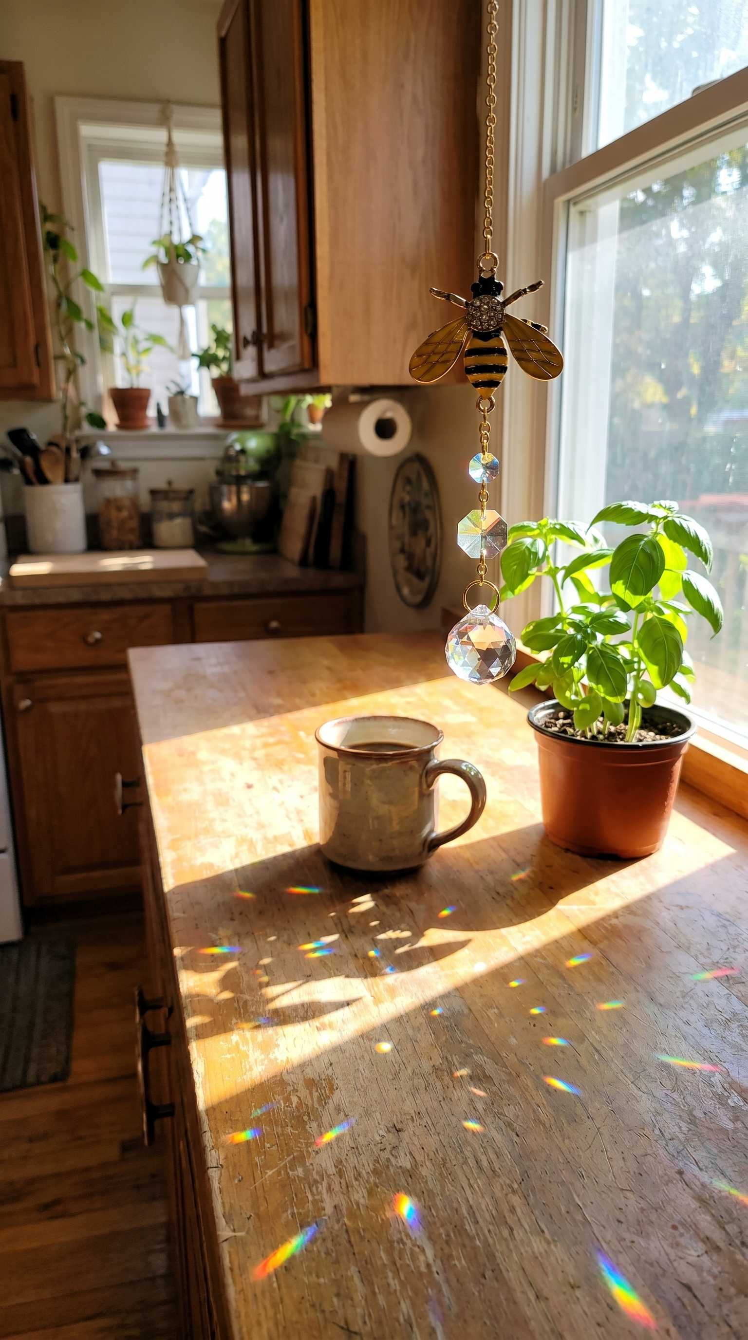 UGC suncatcher in a sunny kitchen window