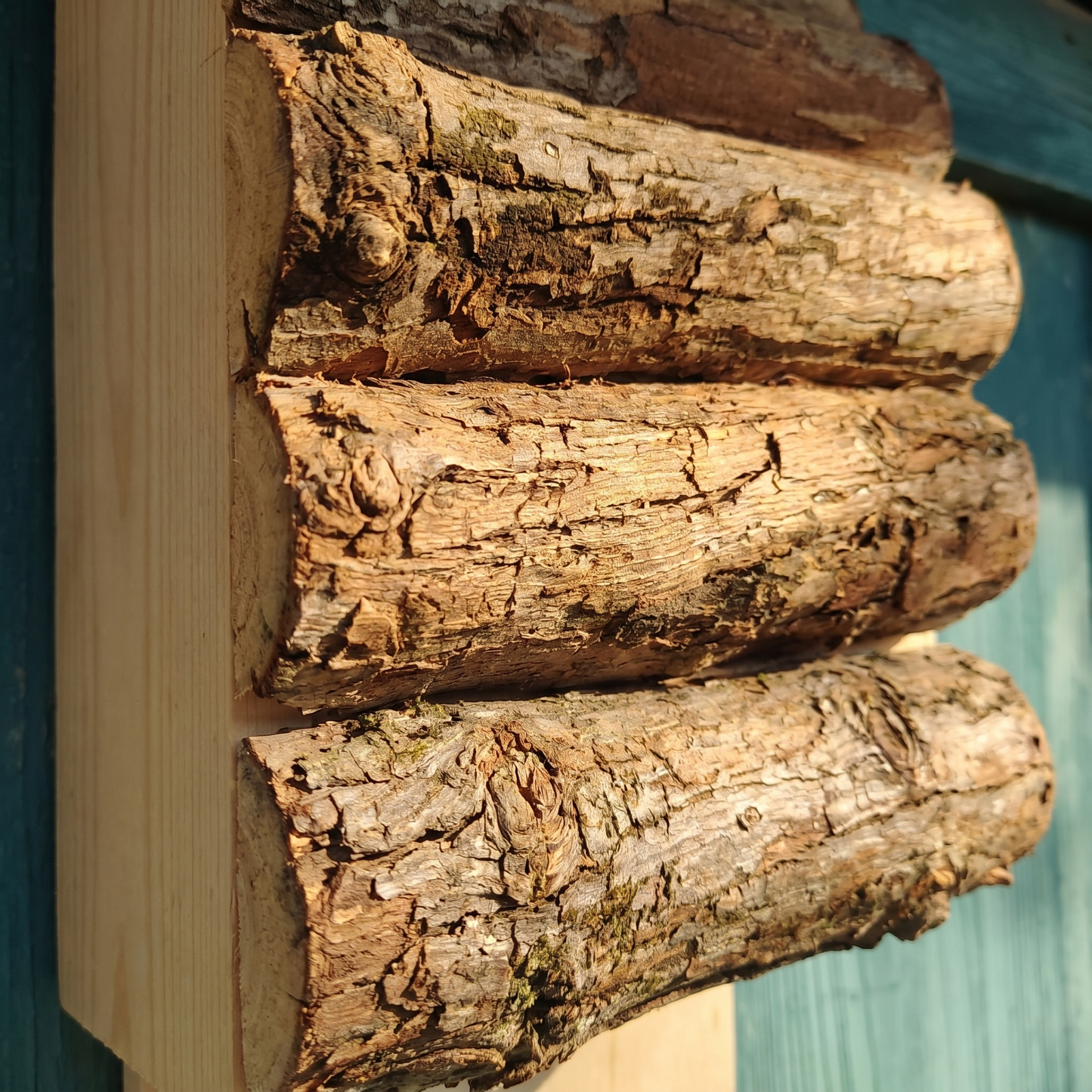 Close-up macro of the bark-on log faces and deep bark texture