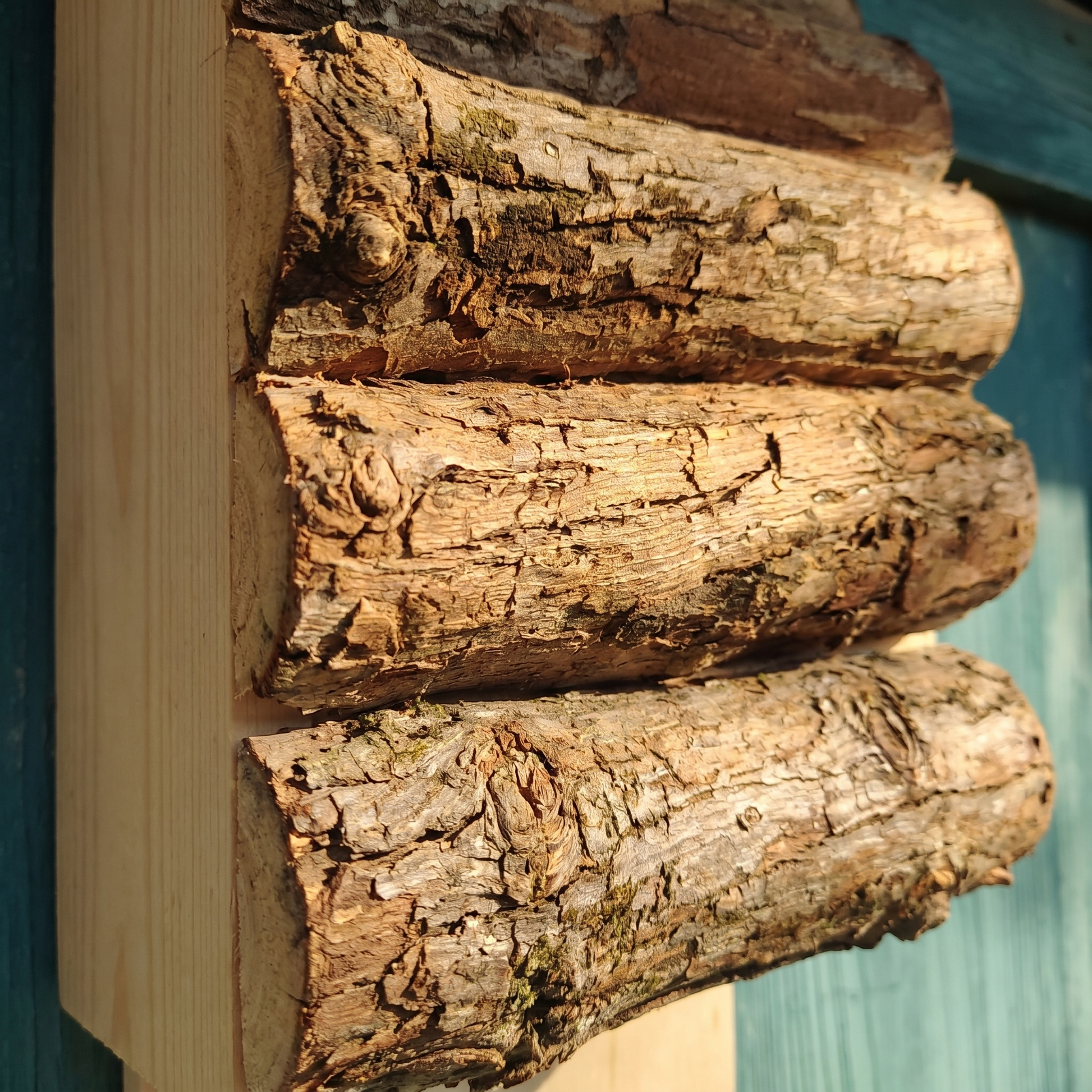 Close-up macro of the bark-on log faces and deep bark texture