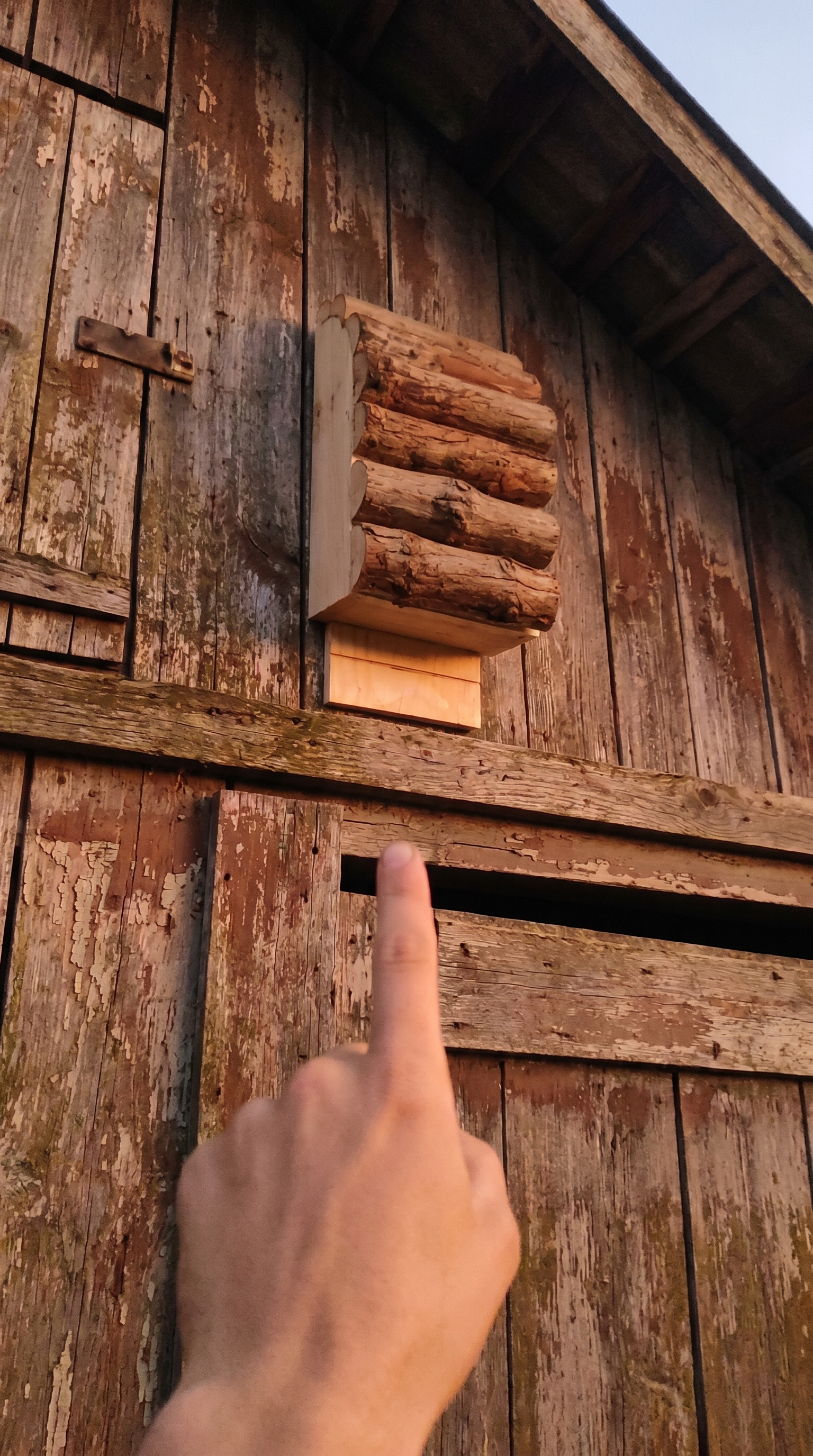 bat-house-ugc-f1-backyard-dusk